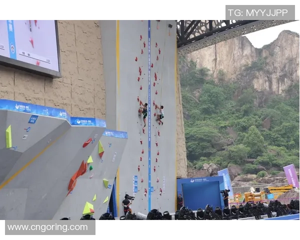 杭州攀岩队技术探讨与训练心得分享助力攀岩运动发展